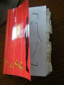 Duck-boy-book-small